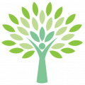 cropped-New-Site-Icon-Transparent.png